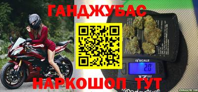 мдпв Новозыбков