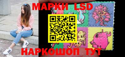 мдпв Новозыбков