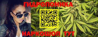 мдпв Новозыбков