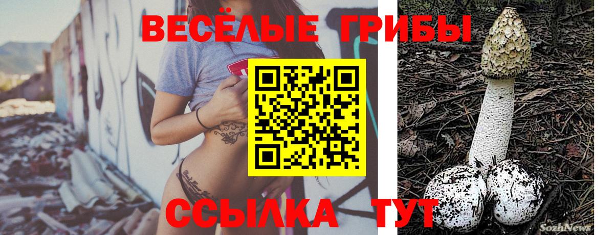 ГАШ  А ПВП СОЛЬ кристаллы  Сургут  ТГК  ГАШ  Конопля  Меф МЯУ МЯУ   Вход с VPN 