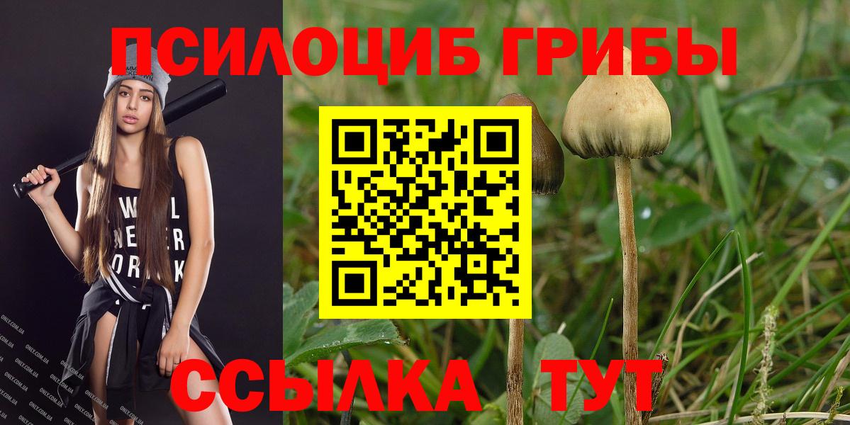 Псилоцибиновые грибы мицелий  Галлюциногенные грибы Cubensis  Сургут  Вход с VPN 